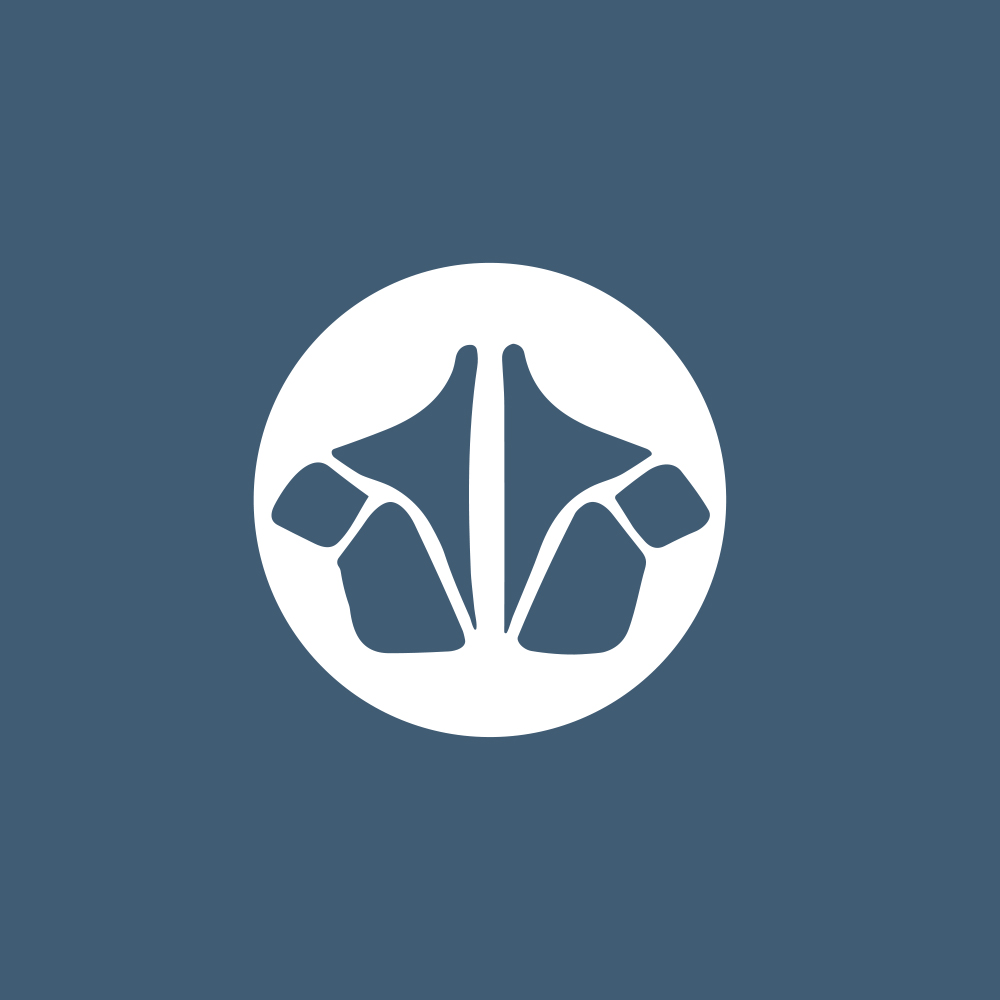 Neck Pain Lake Mary Chiropractor – Find Lasting Relief with Kersenbrock Chiropractic (2025)
